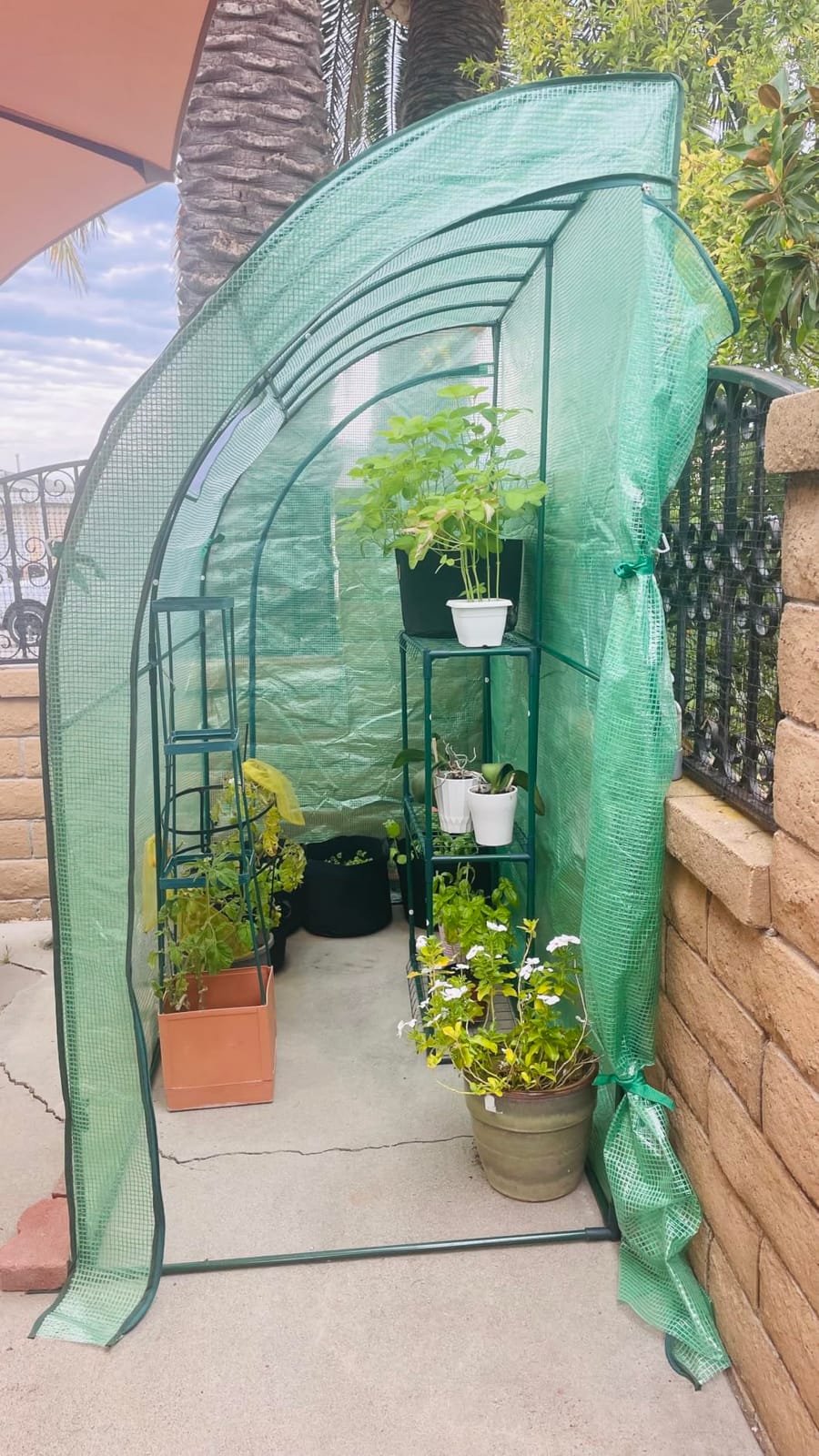 VEVOR Walk-in Tunnel Greenhouse, 9.6x6.4x6.2 ft Hoop House Greenhouse Tunnel, Plant Hot House with Galvanized Steel Frame, Green PE Cover, Roll-up Zipper Door and 6 Windows for Outdoor customer photo 2