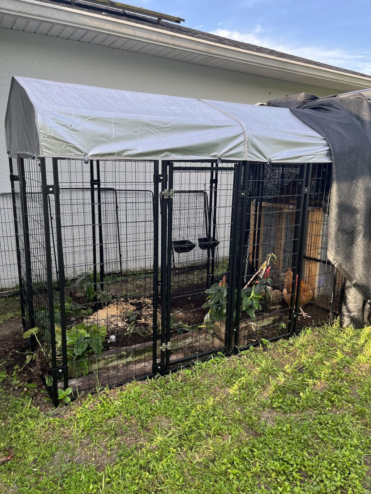 Dog Kennel Outdoor, Large Outside Dog Kennel with Roof & Swivel Feeders/Removable Doggy Door Allow Connecting Your Dog House, Heavy Duty Dog Run Pen for Medium/Large Dogs (8'L x 4'W x 6'H) customer photo 2