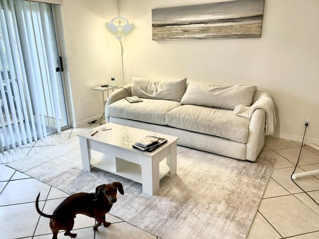 Area Rugs 5x7 Living Room: Washable Rug Modern Abstract Large Rug Soft Non Slip Neutral Rugs Stain Resistant Indoor Carpet customer photo 1