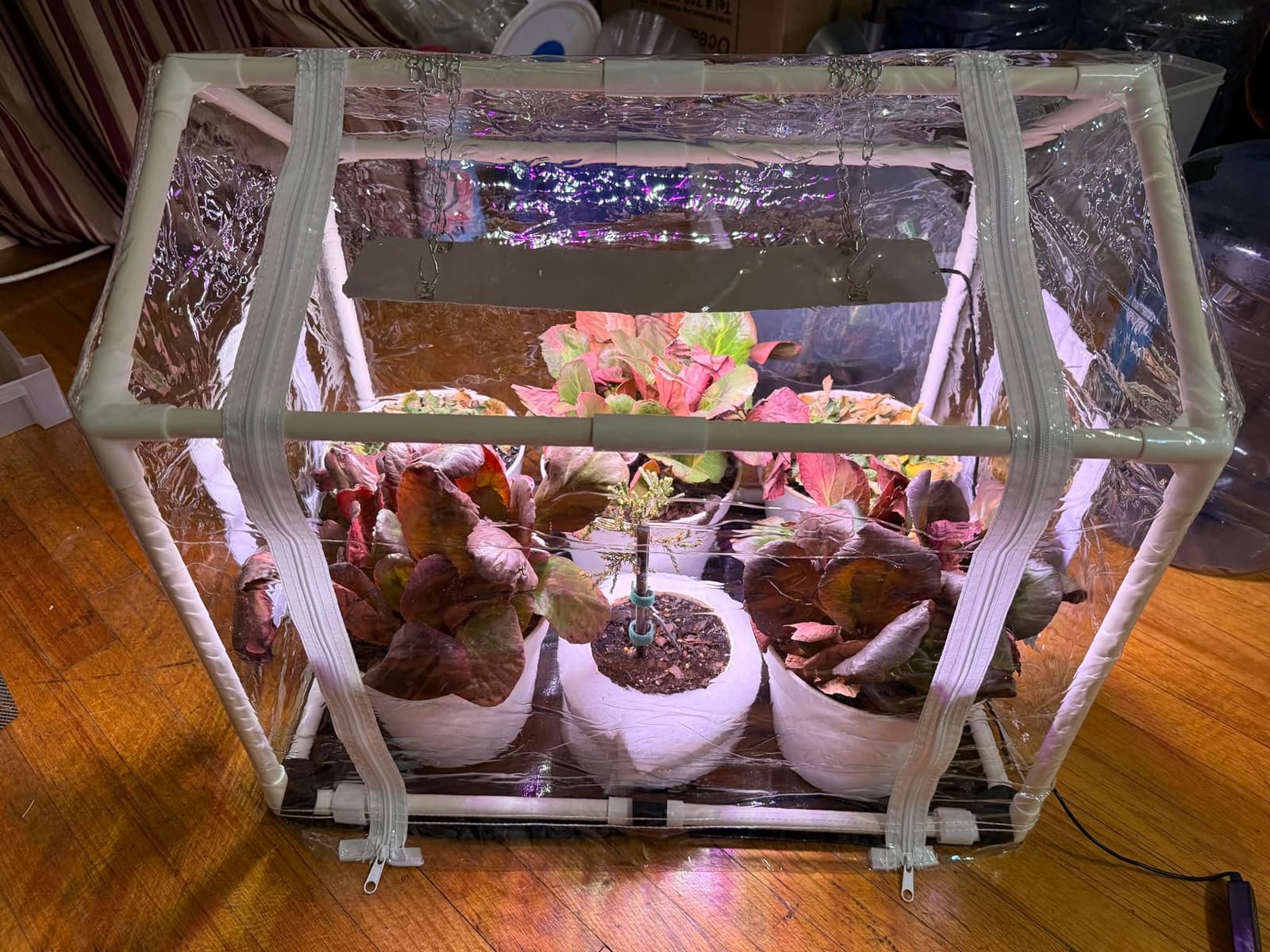 Meonum Mini Greenhouse with Grow Light, 23.6