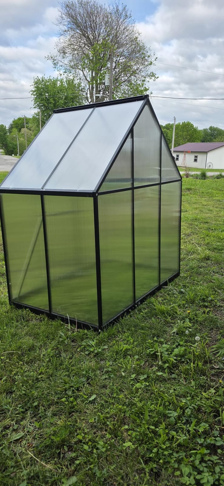 8X10FT Greenhouse with Thermometers, Large Aluminum Greenhouse for Outdoors customer photo 2
