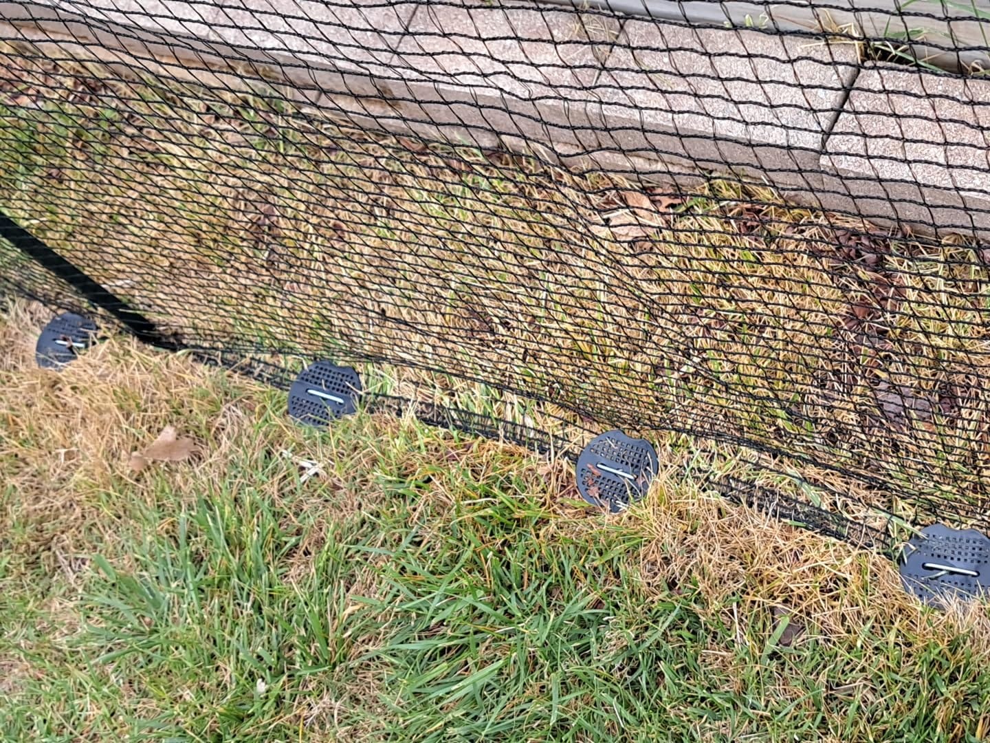 Deer Fence Netting,Plastic Mesh Fence 6.5x50ft,Reinforced Edges 55gsm Heavy Duty Animal Barrier,Ideal for Garden Netting,Against Bird,Temporary Fence,Fruit Plant Protection,Black customer photo 2