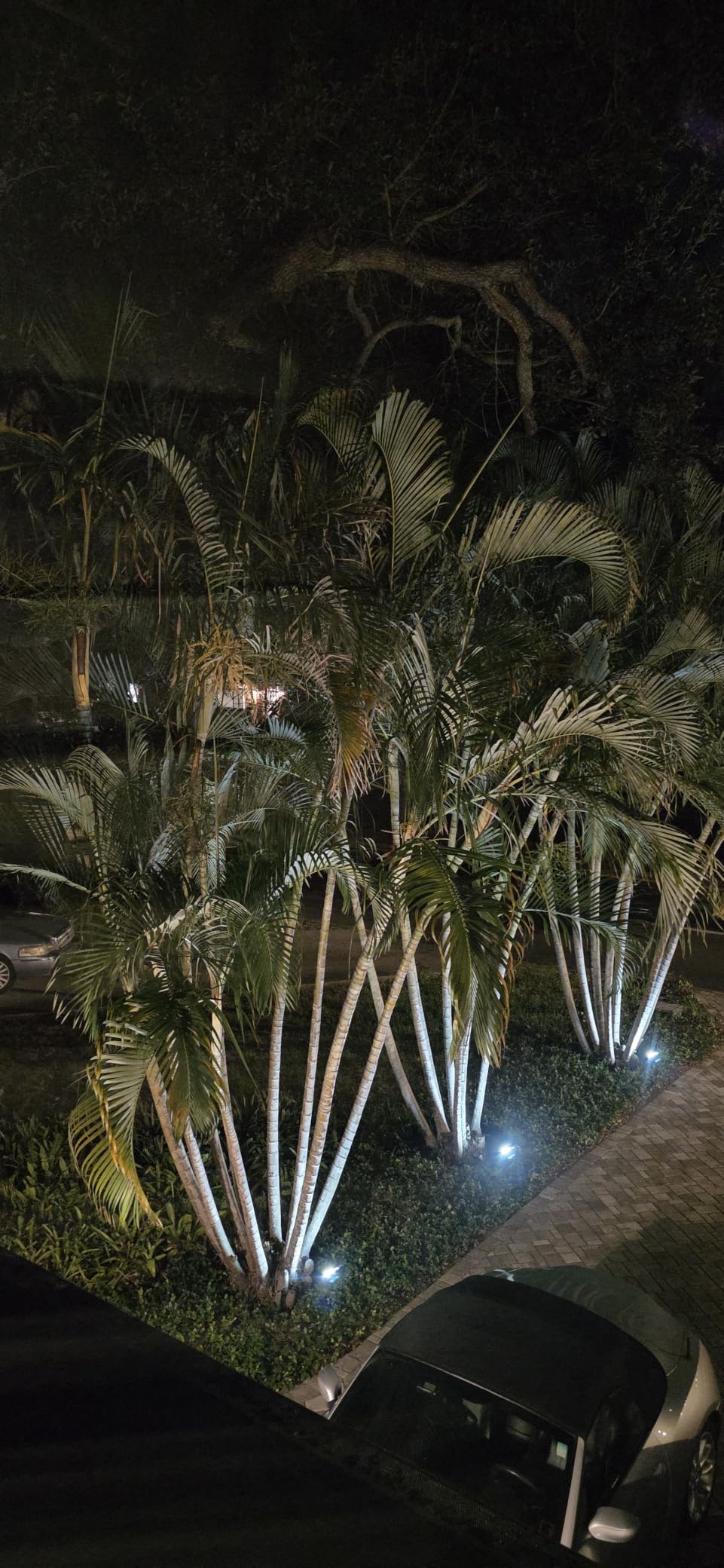 JEJOT Solar Spot Lights Outdoor Waterproof, Solar Spotlights, 4 Pack customer photo 2