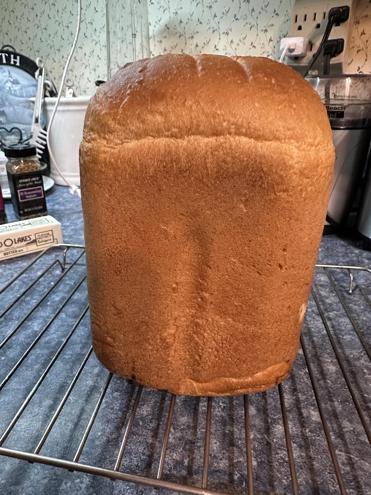 KITCHENARM 19-in-1 HANDY Bread Machine with Homemade Cycle and Gluten Free Setting - Beginner Friendly 2LB 1.5LB 1LB White Bread Maker Machine with Recipes and Delay Timer customer photo 1