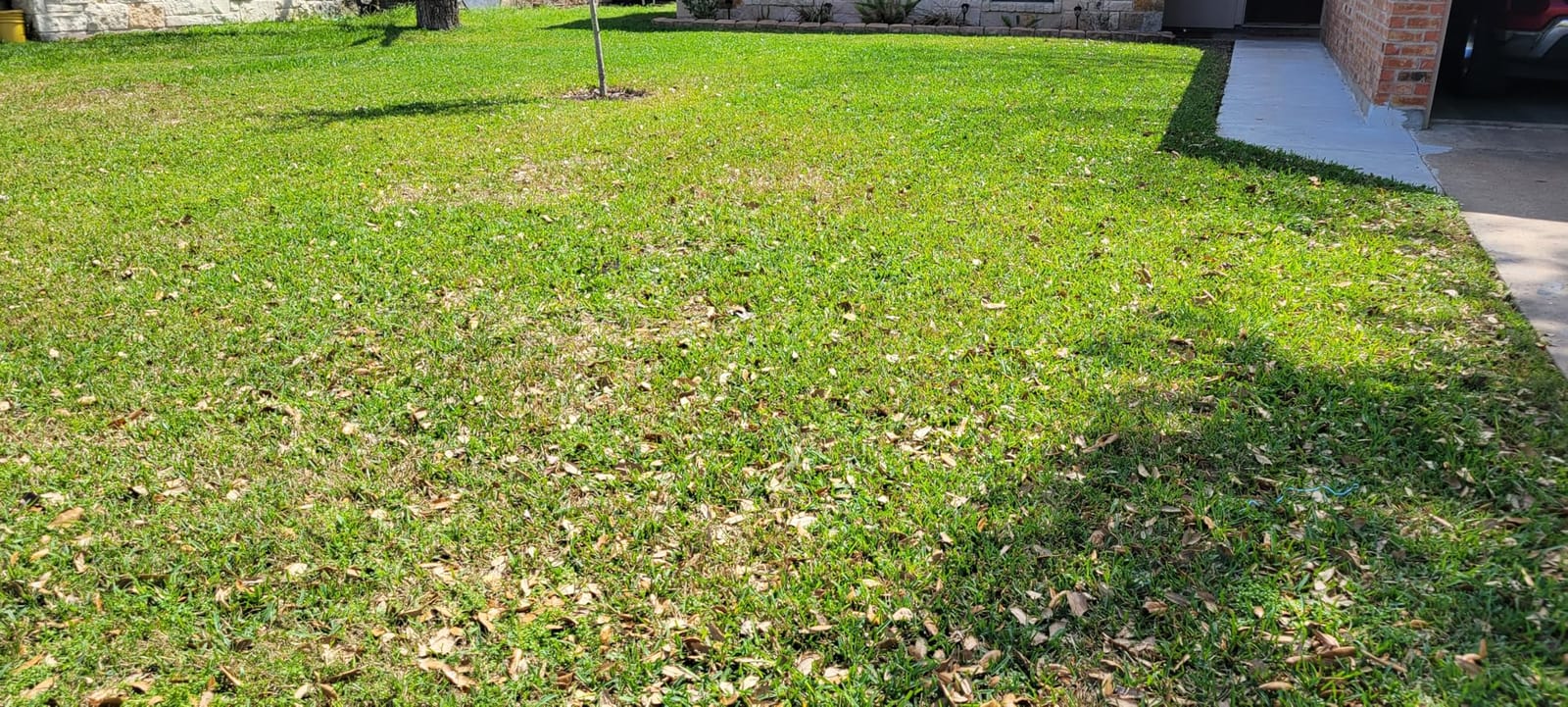 eufy Robot Lawn Mower E15, Auto Mapping, Pure Vision Navigation customer photo 1