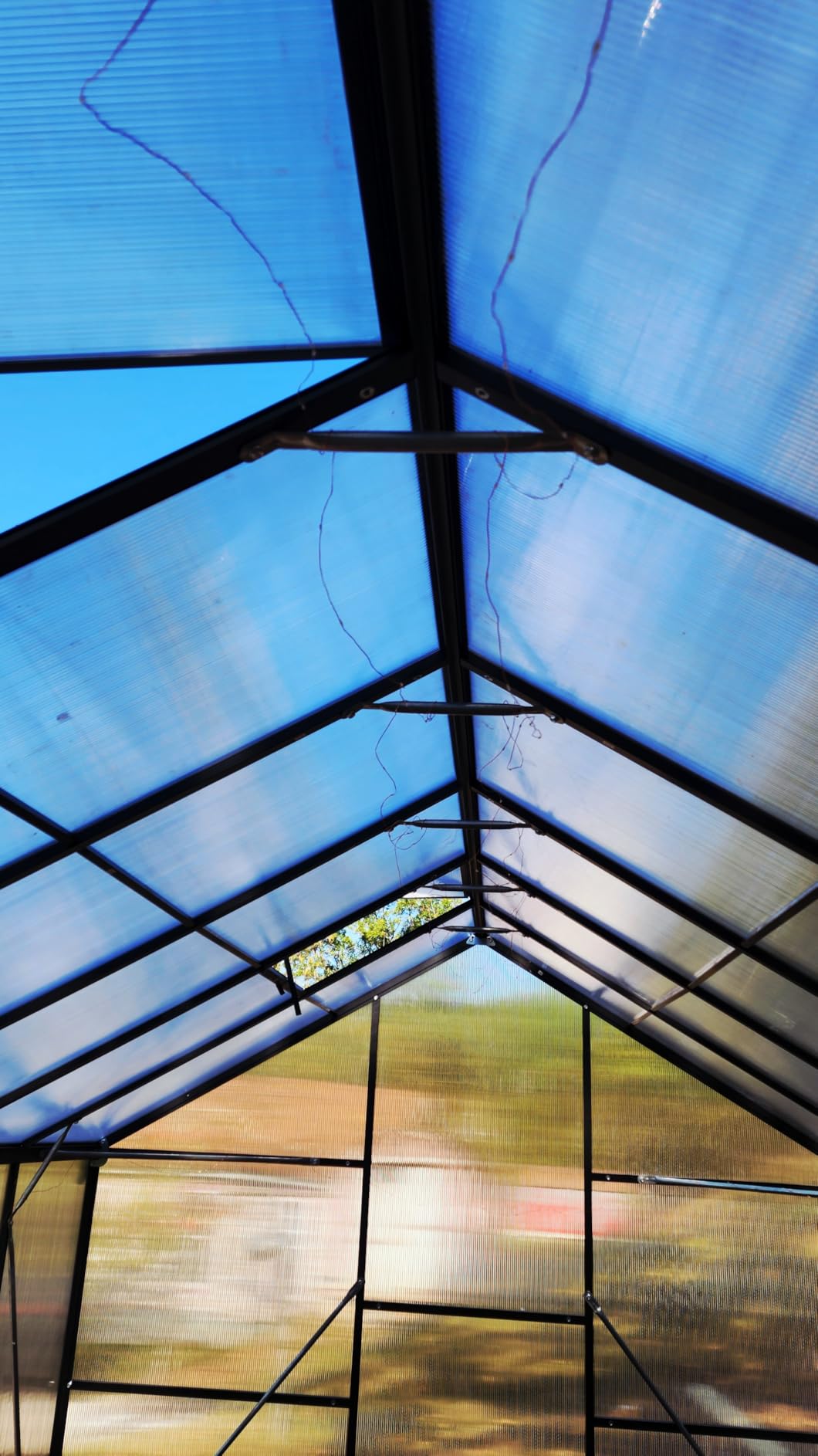 6x4FT Greenhouse with Hygrometer, Windproof Warm Plant Green Houses customer photo 2