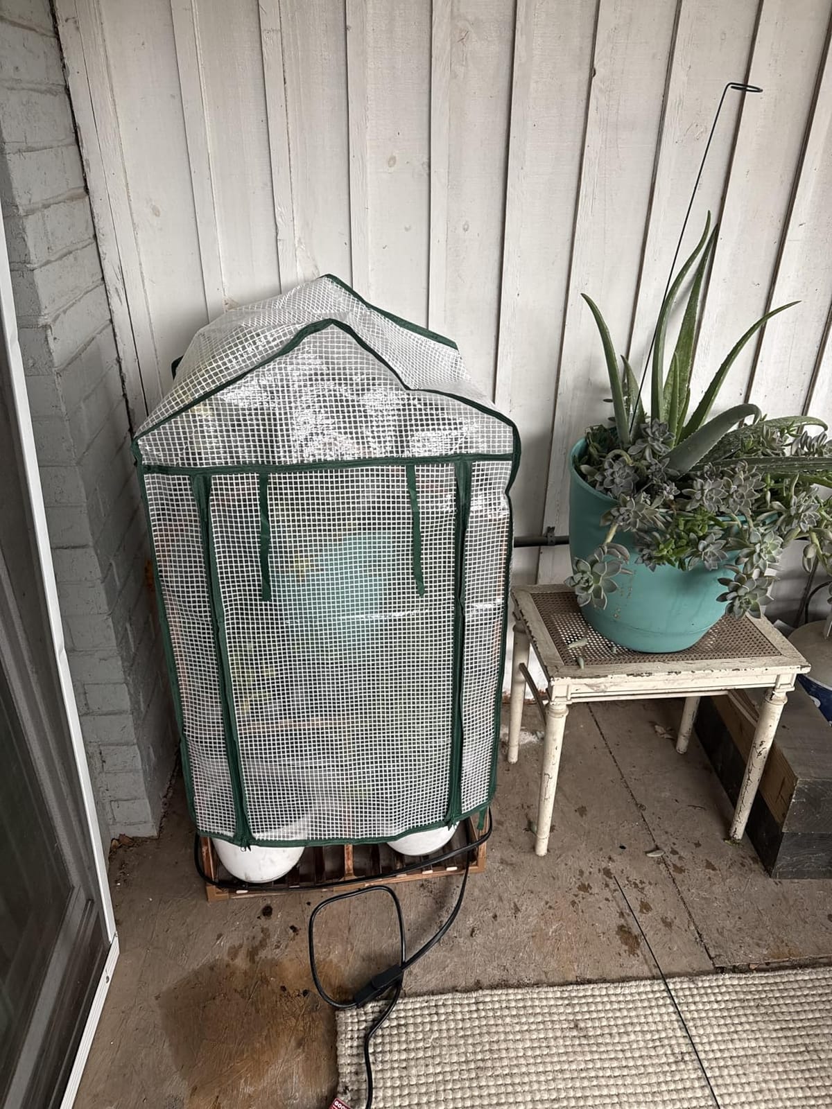 Bamworld 2-Tier Mini Greenhouse 15-Min Setup Outdoor 23x17x38-Inch customer photo 2