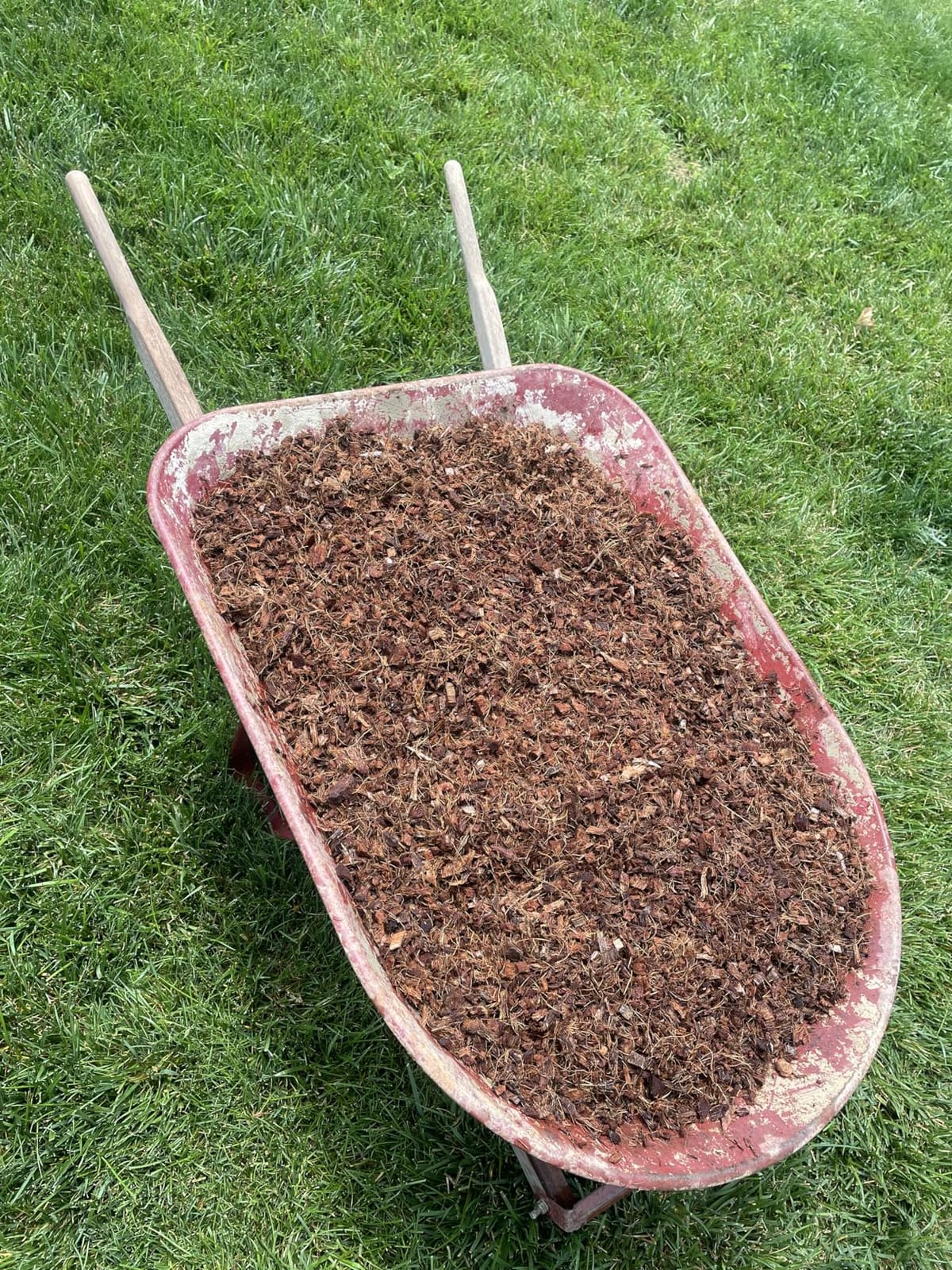 Back to the Roots 100% Organic Mulch, 58 Quart (2 Cubic ft), Expanding Coconut Husk Block for Gardening customer photo 1