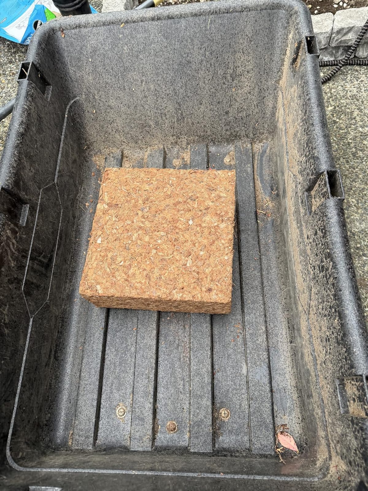 Back to the Roots 100% Organic Mulch, 58 Quart (2 Cubic ft), Expanding Coconut Husk Block for Gardening customer photo 2