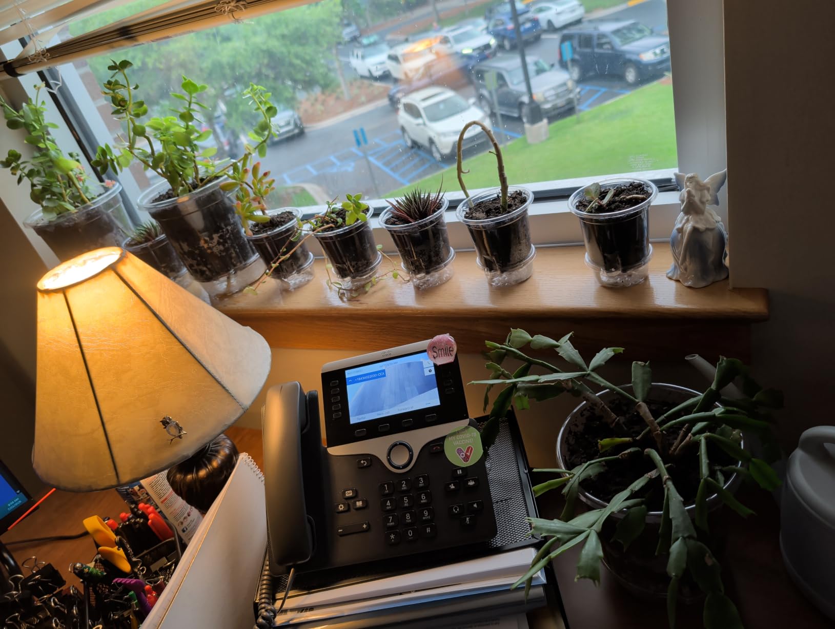 Bluepro Self Watering Pots for Indoor Plants, 4/5/6.5 Inch, 18-Pack customer photo 2