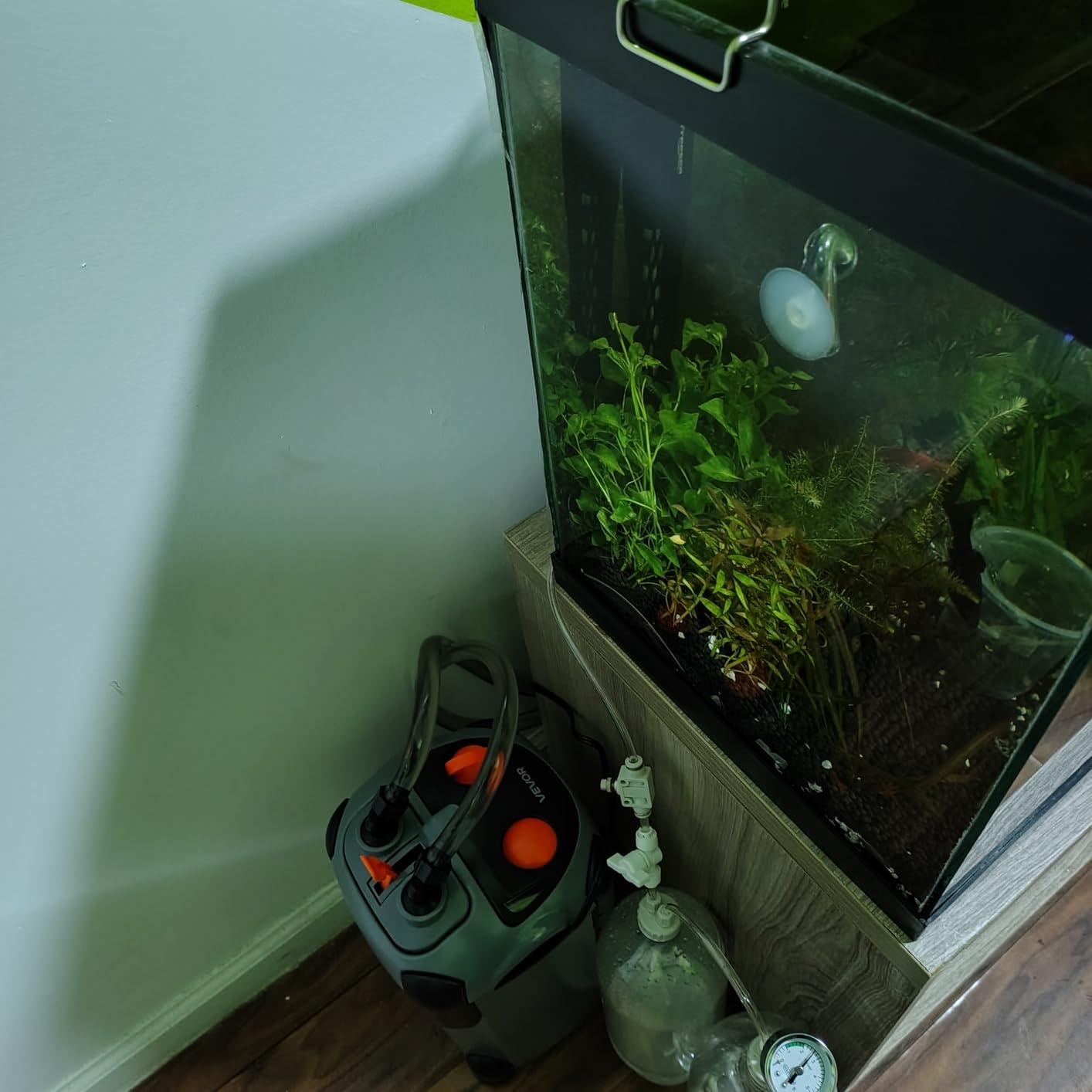 VEVOR 224.5GPH Canister Filter, 3-Stage External Aquarium Filter with Powerful Pump, Quite Water Circulation Cleaning Machine with Media for Fish Tanks and Aquariums Up to 55 Gallons, for Freshwater customer photo 2