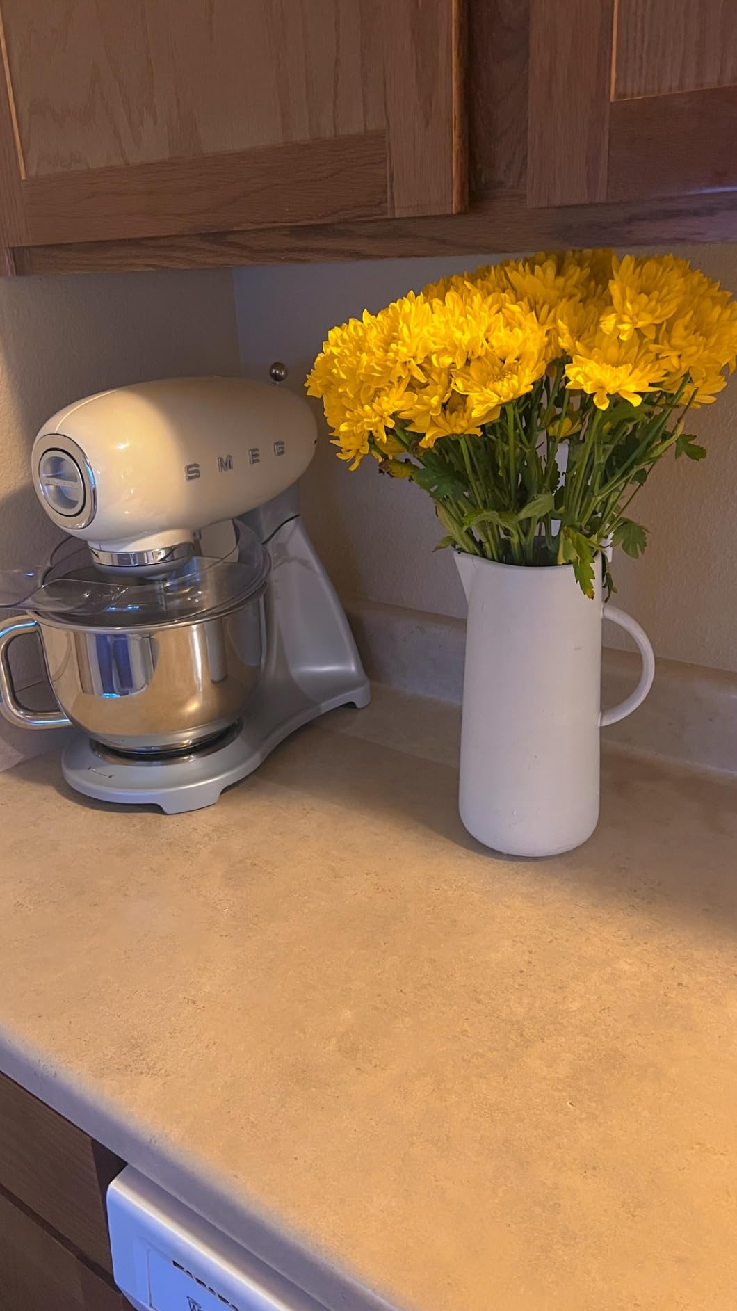SMEG SMF04 5-Qt Stand Mixer with Smooth Start & SteadyMix, 600W Motor, 10 Speeds, Stainless Steel Bowl & Pour Shield - Retro 50's Style Planetary Mixer for Bread Dough, Baking & Desserts-Cream customer photo 1
