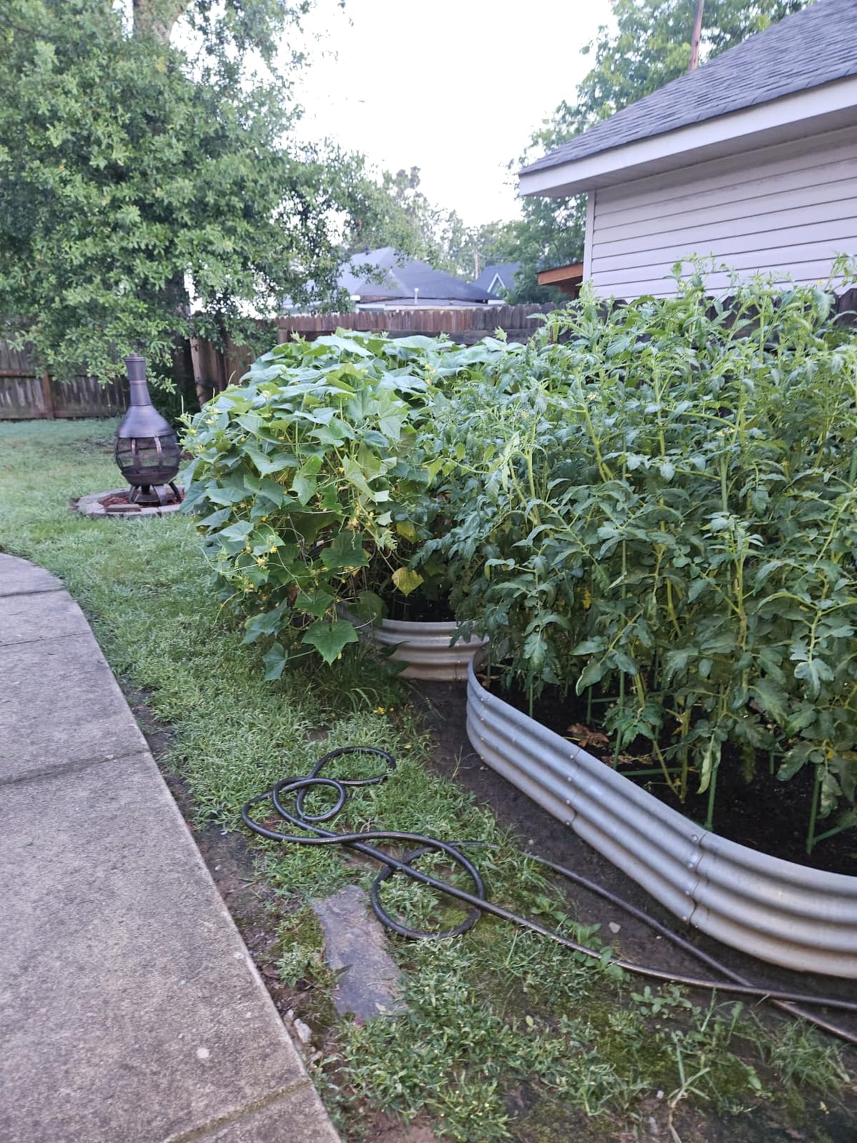 Land Guard 2 Pack 4×2×1ft Galvanized Raised Garden Bed Outdoor, Heavy Duty Bottomless Metal Raised Planter Box for Vegetables, Flowers, Herbs, Backyard Patio Gardening, Silver customer photo 2