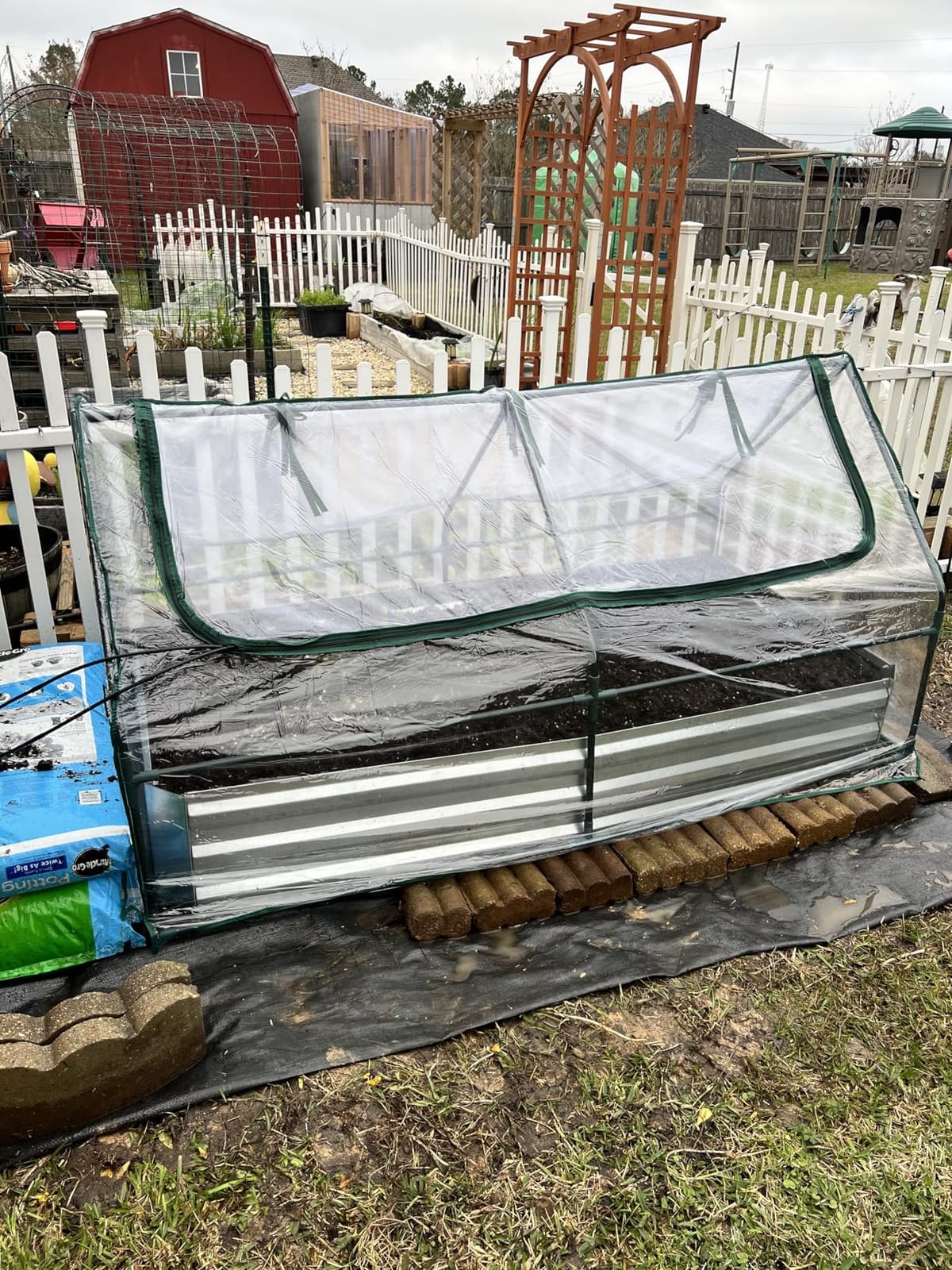 S AFSTAR 3-in-1 Raised Garden Bed with Greenhouse Cover, 6FT x 3FT x 4FT Galvanized Bottomless Planter Box Kit with Dual Roll-Up Screen Windows, Outdoor Mini Greenhouse for Vegetables (Silver & Clear) customer photo 2