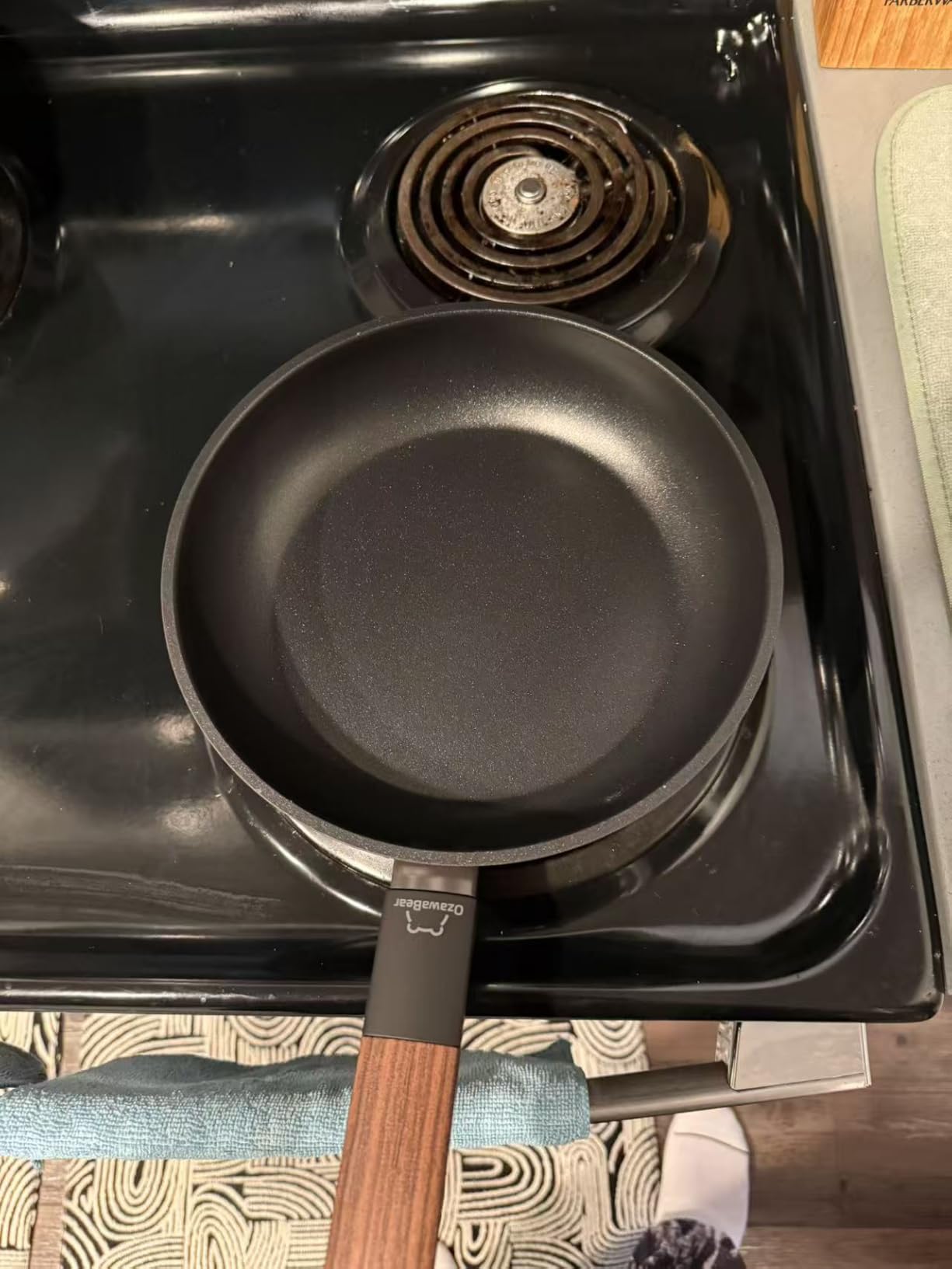 11 Inch Non Stick Frying Pan Skillet Titanium Coating Fry Pan | Egg Pan Omelet Pan Nonstick, Healthy Induction Cookware Chef's Pan, PFAS PFOA & PTFE Free customer photo 1