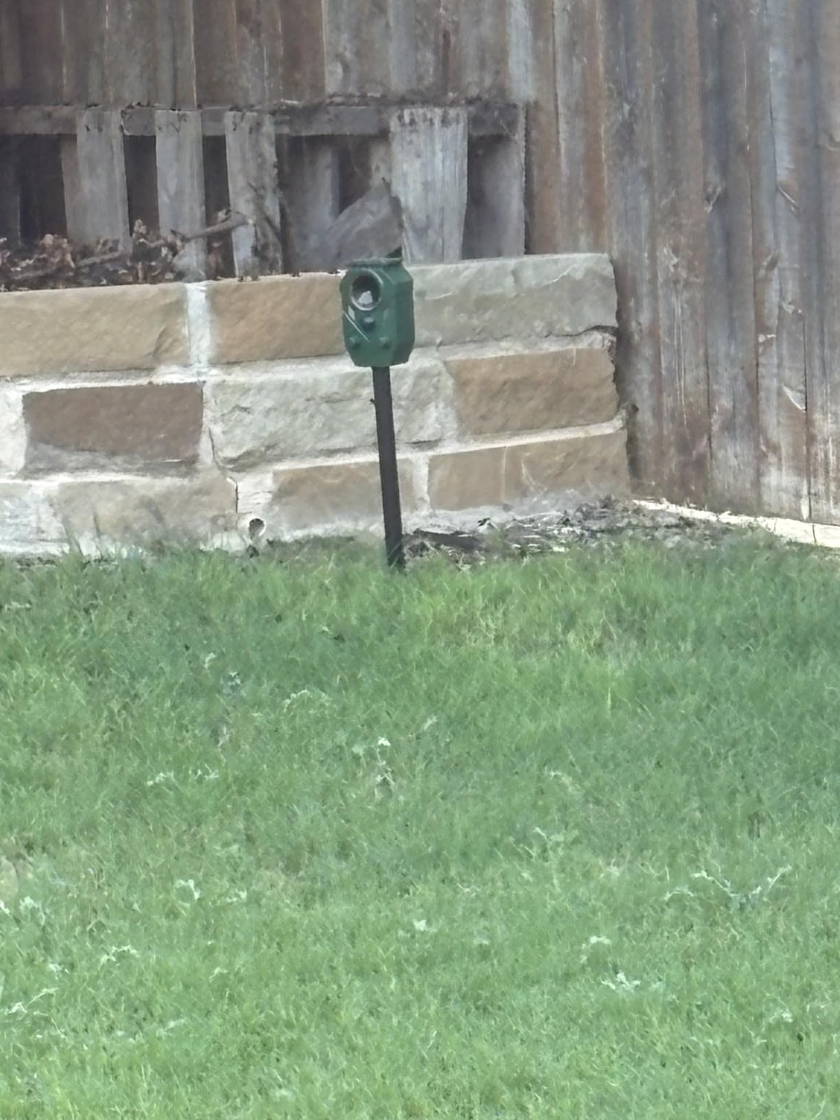 Solar Ultrasonic Animal Repellent Outdoor customer photo 1