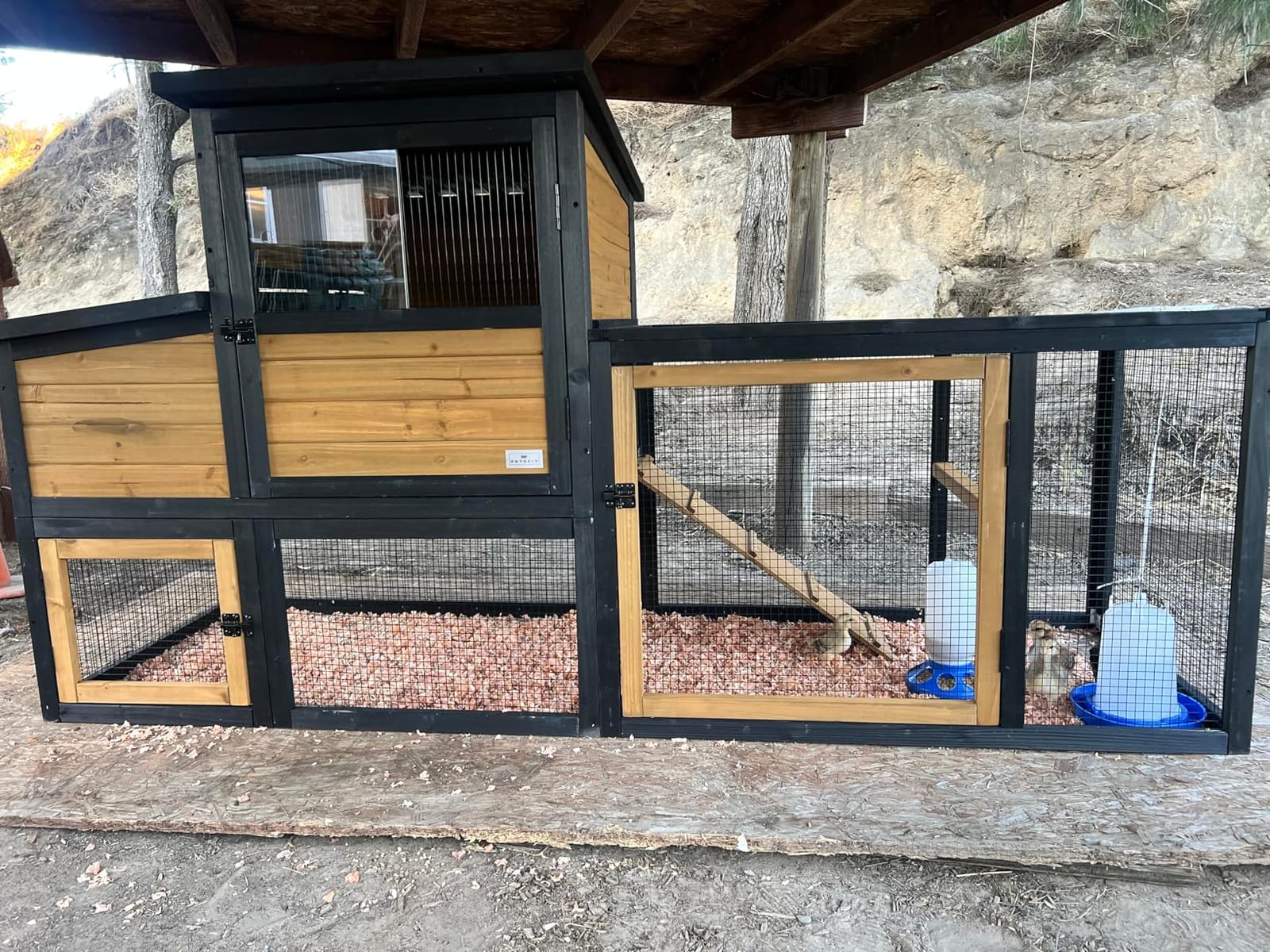 Petsfit Outdoor Chicken Coop with Run for 4-6 Chickens, 3 Nesting Boxes customer photo 2