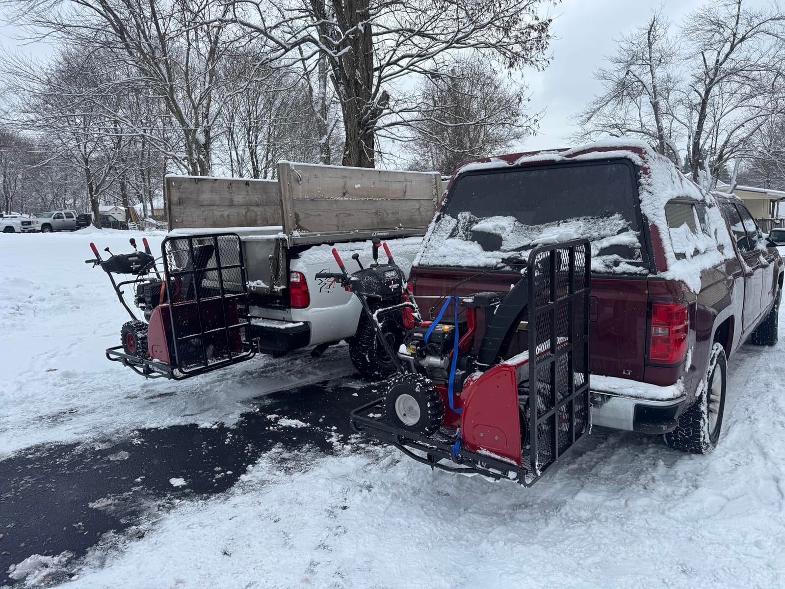 ECOTRIC Hitch Mount Wheelchair Carrier with Mobility Ramp customer photo 1