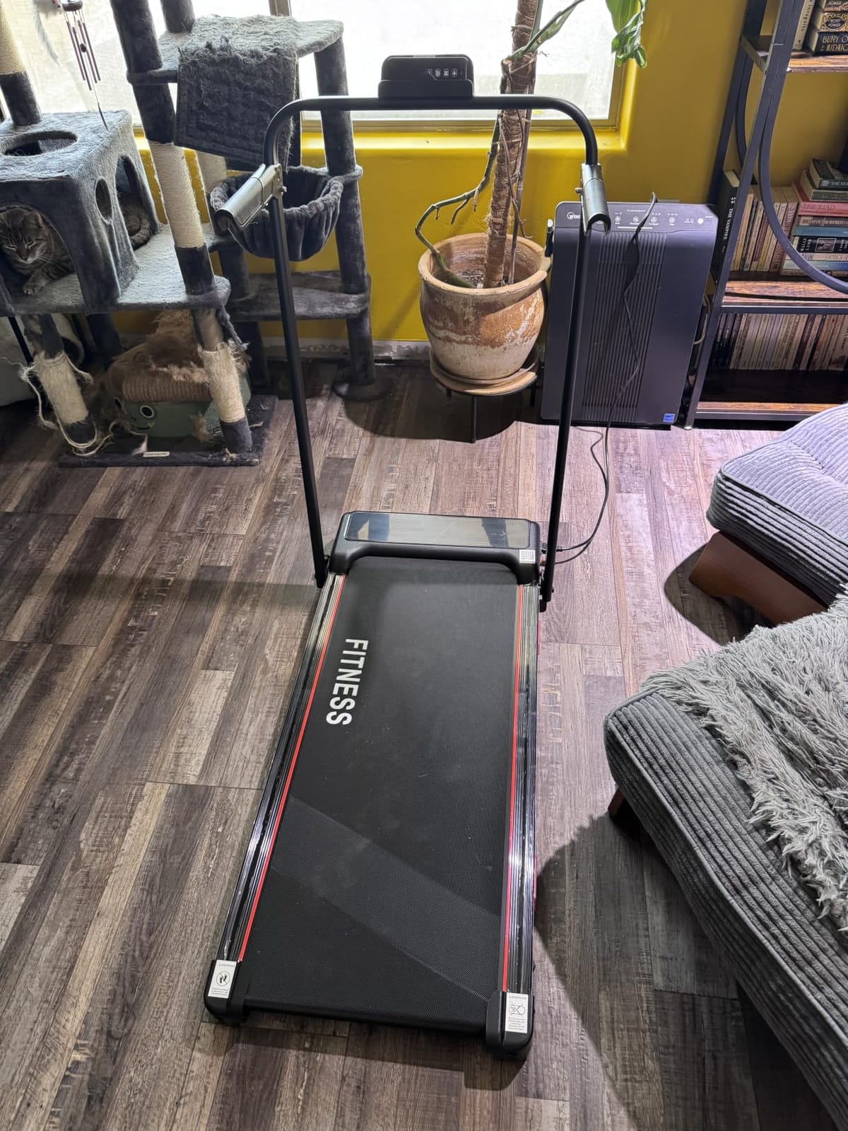 RHYTHM FUN 16% Incline Walking Pad Treadmill with Handles, 6.2MPH, Foldable customer photo 1
